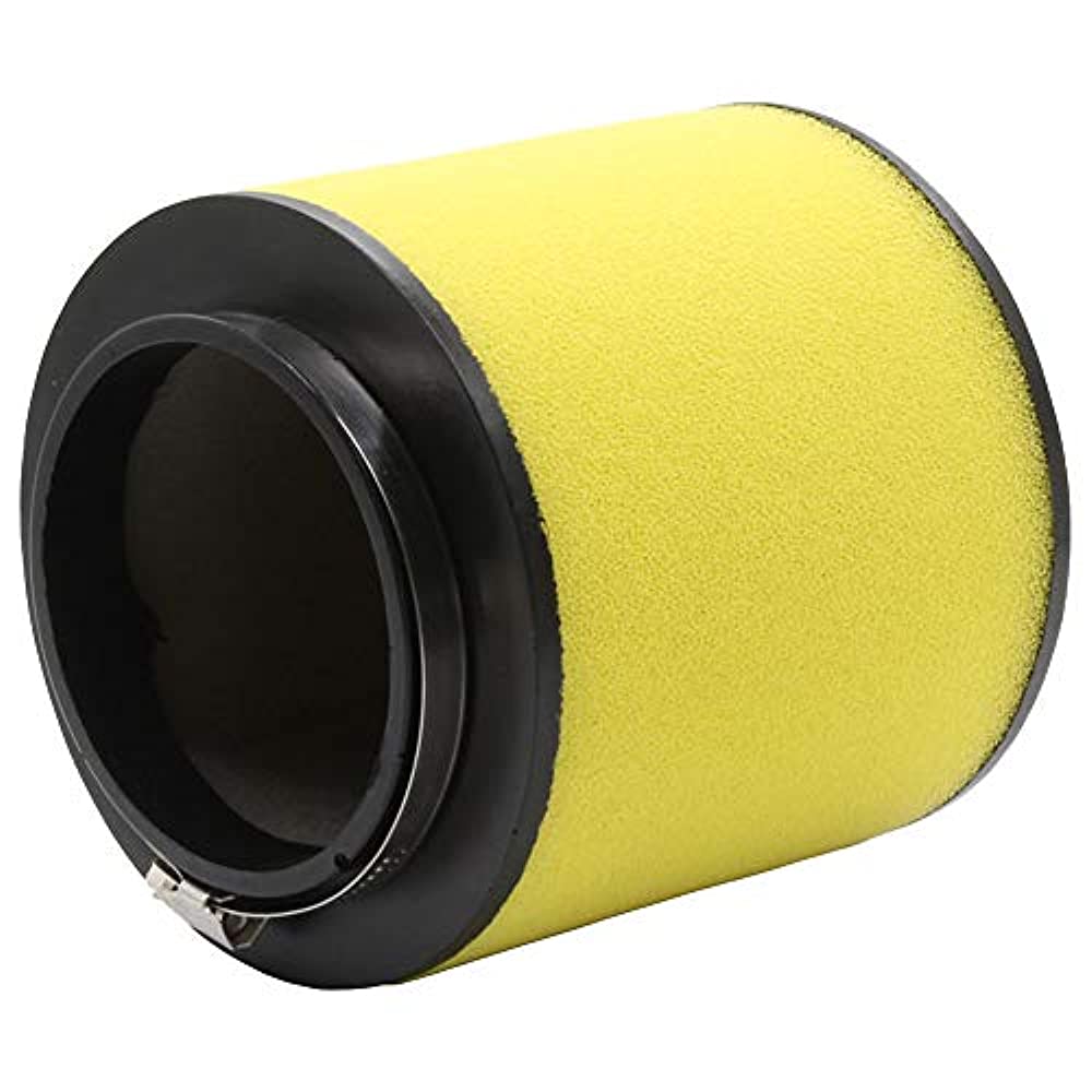 17254-HP0-A00 Air Filter For Honda TRX400X TRX400EX TRX420 TRX450R Sportrax ATV - Picture 3 of 6