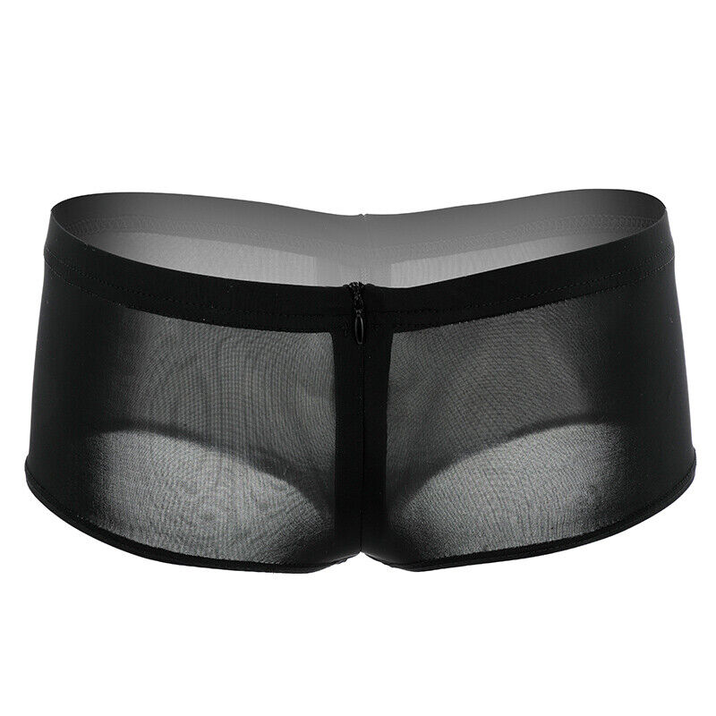 Women's Mesh Briefs Panties Underwear Zipper Sheer See Through Sexy Lingerie - Picture 15 of 15