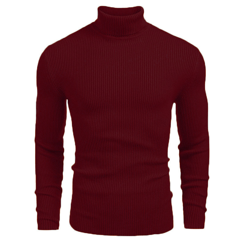 Para hombres Tejido Cuello de Tortuga Prendas para el torso Suéter Invierno Cálido Mangas Largas Camisas delgadas - Imagen 30 de 35