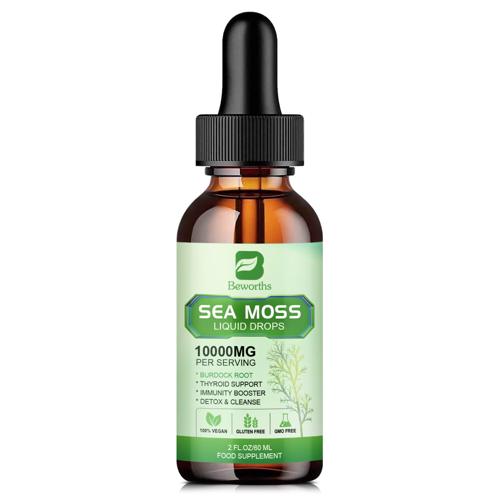 Sea Moss Irish Sea Moss Liquid Drops Black Seed Oil, ,Bladderwrack