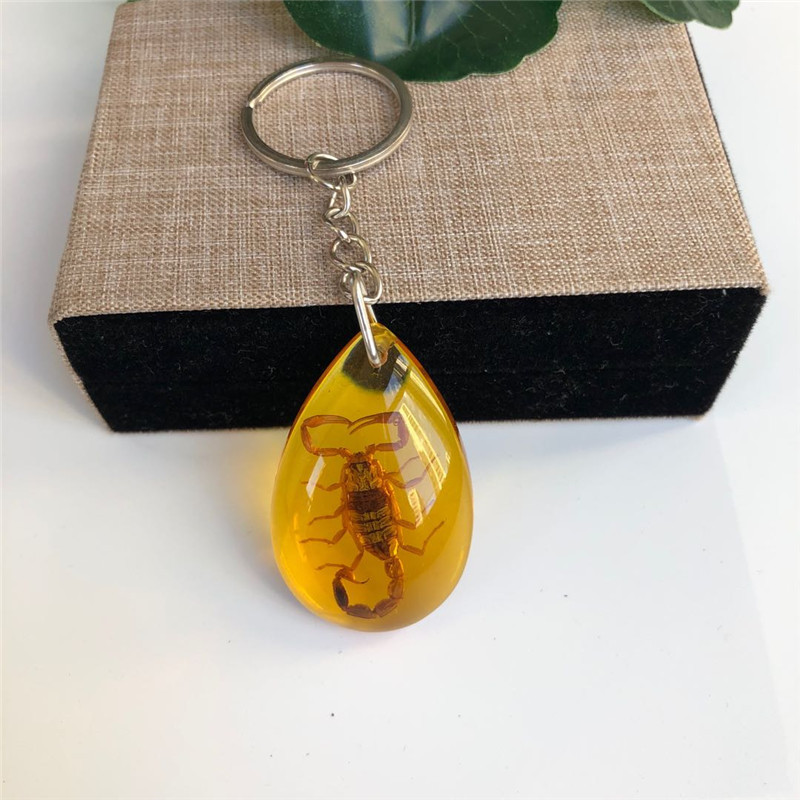 True insect specimen amber keychain car keychain backpack pendant small gift - Picture 25 of 33