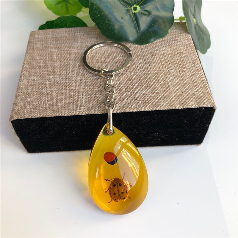 True insect specimen amber keychain car keychain backpack pendant small gift - Picture 26 of 33