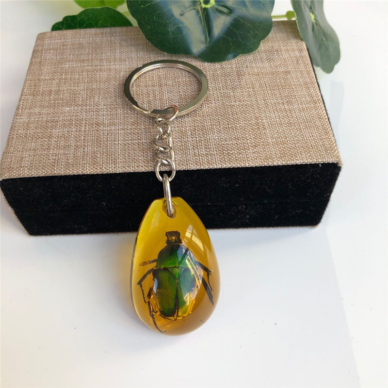 True insect specimen amber keychain car keychain backpack pendant small gift - Picture 27 of 33