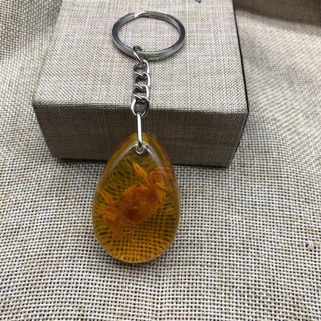 True insect specimen amber keychain car keychain backpack pendant small gift - Picture 28 of 33