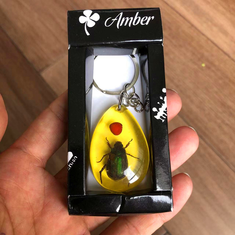 True insect specimen amber keychain car keychain backpack pendant small gift - Picture 29 of 33