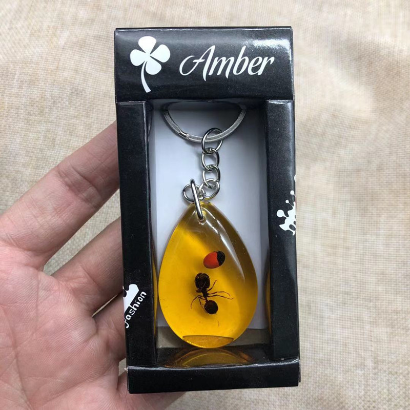 True insect specimen amber keychain car keychain backpack pendant small gift - Picture 31 of 33