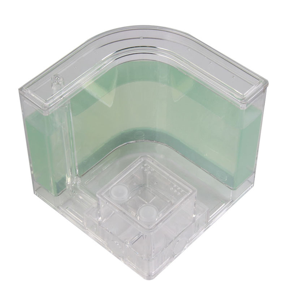 Ant Farm Box Home for Kids Study of Clony Behavior Ant Nest Farm Insect House