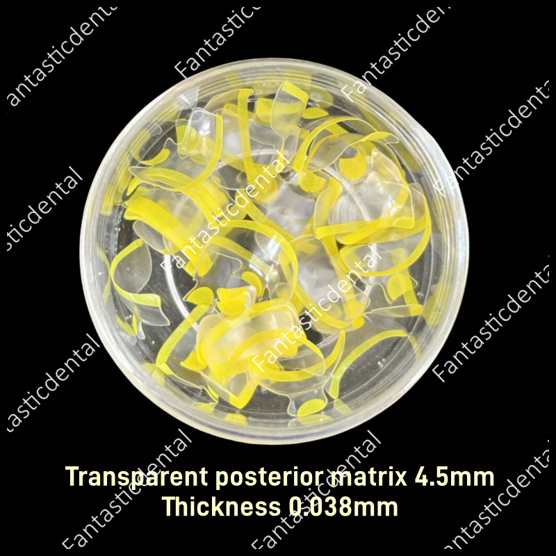 Dental Clear Matrix Posterior 4.5mm 5.5mm Transparent Matrices Molar Restoration