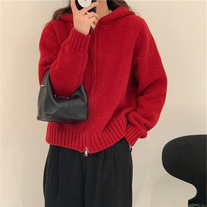 2024 Autumn Winter Hooded Double Zipper Sweater Jacket Women Knit Cardigan - Picture 15 of 16