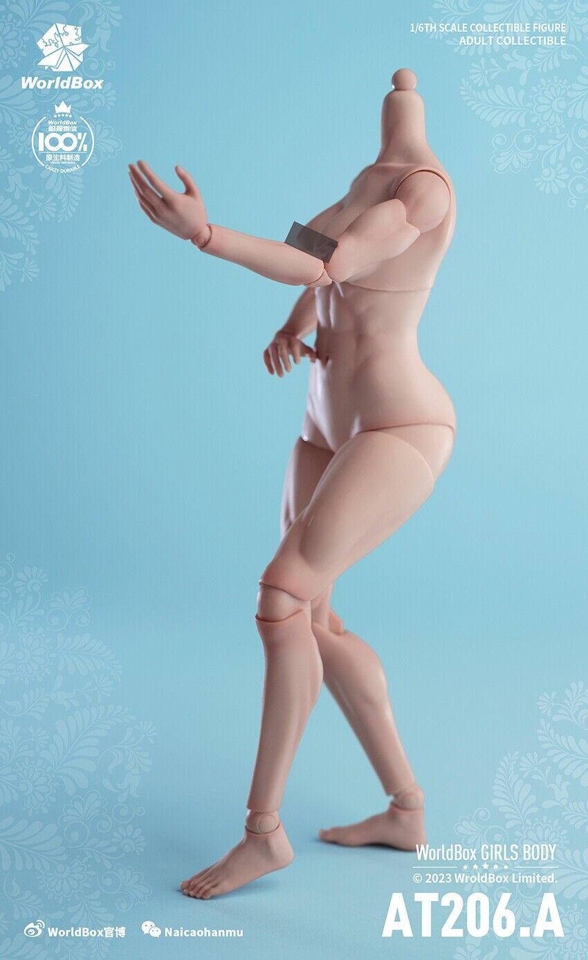 Figura Modelo 1/6 Worldbox AT206 Mujer Flexible Muscular Articulación Cuerpo Soldado 12"" - Imagen 28 de 44