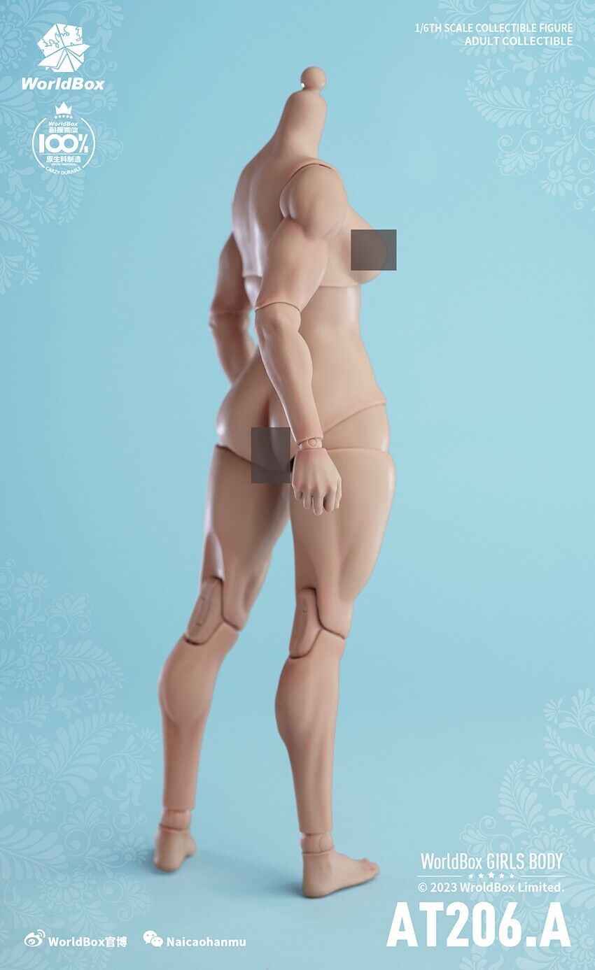 Figura Modelo 1/6 Worldbox AT206 Mujer Flexible Muscular Articulación Cuerpo Soldado 12"" - Imagen 31 de 44