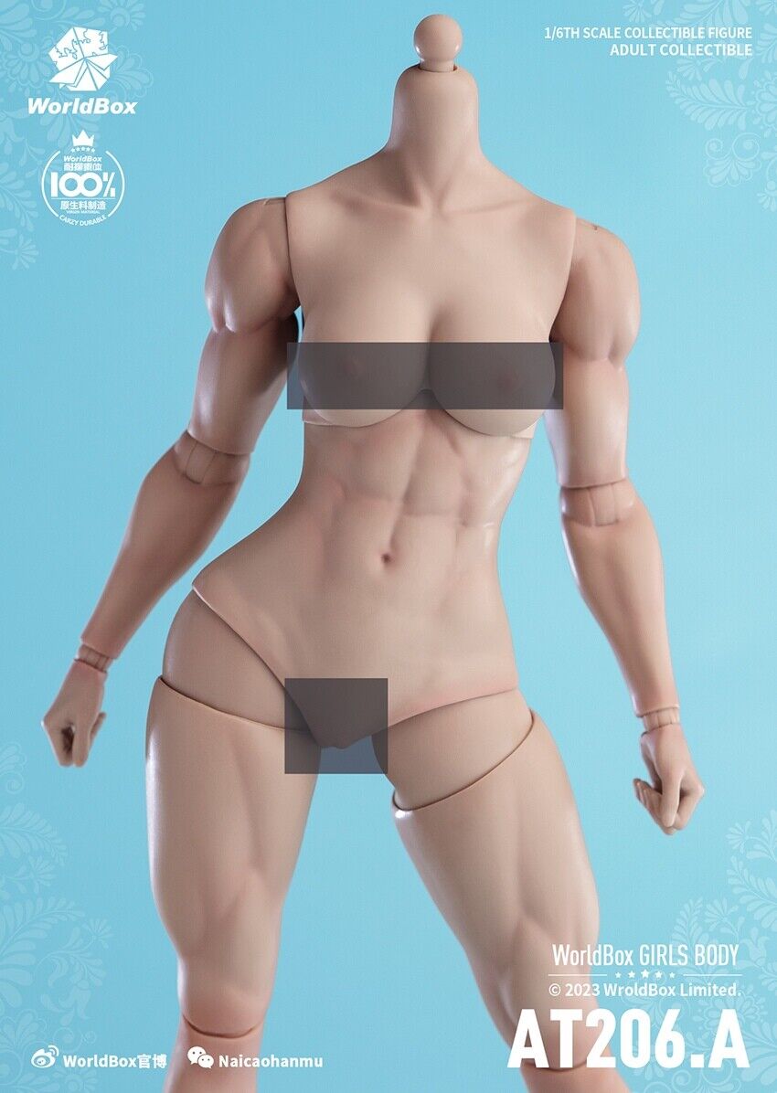Figura Modelo 1/6 Worldbox AT206 Mujer Flexible Muscular Articulación Cuerpo Soldado 12"" - Imagen 32 de 44