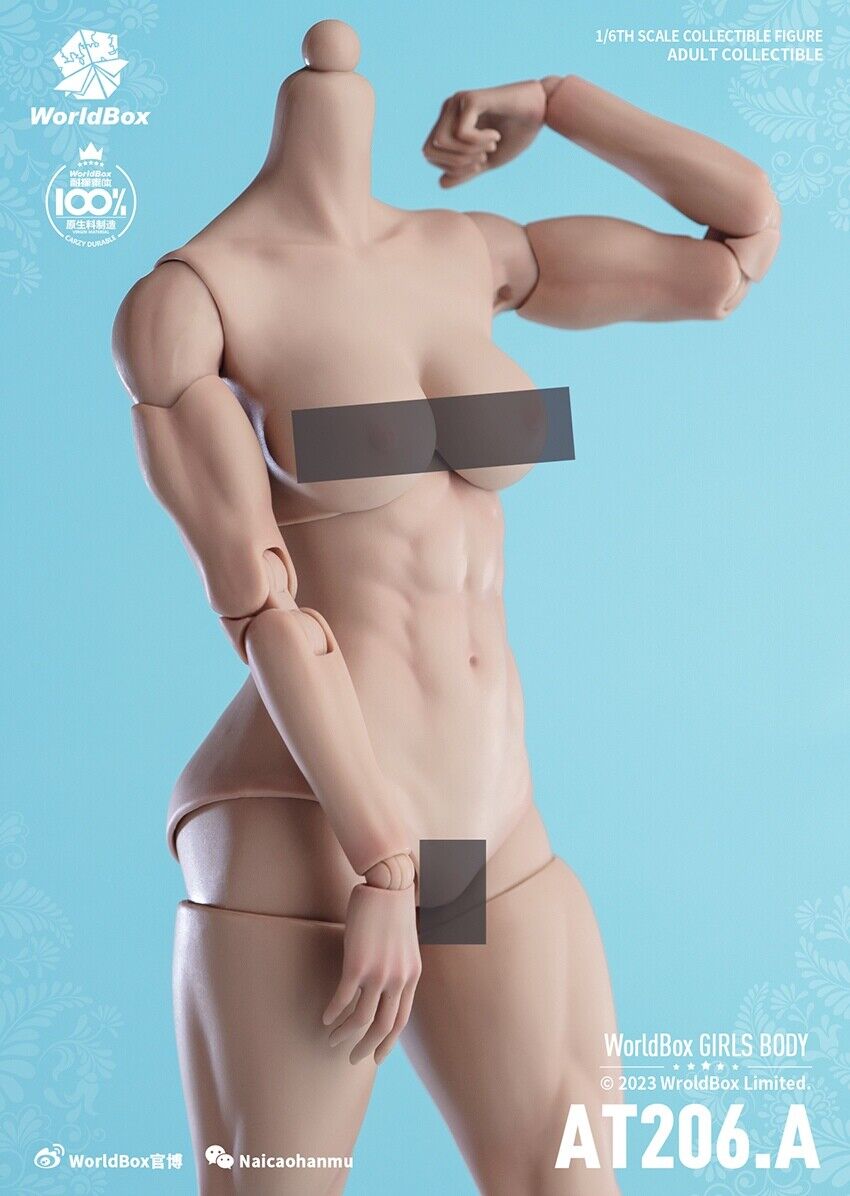 Figura Modelo 1/6 Worldbox AT206 Mujer Flexible Muscular Articulación Cuerpo Soldado 12"" - Imagen 33 de 44