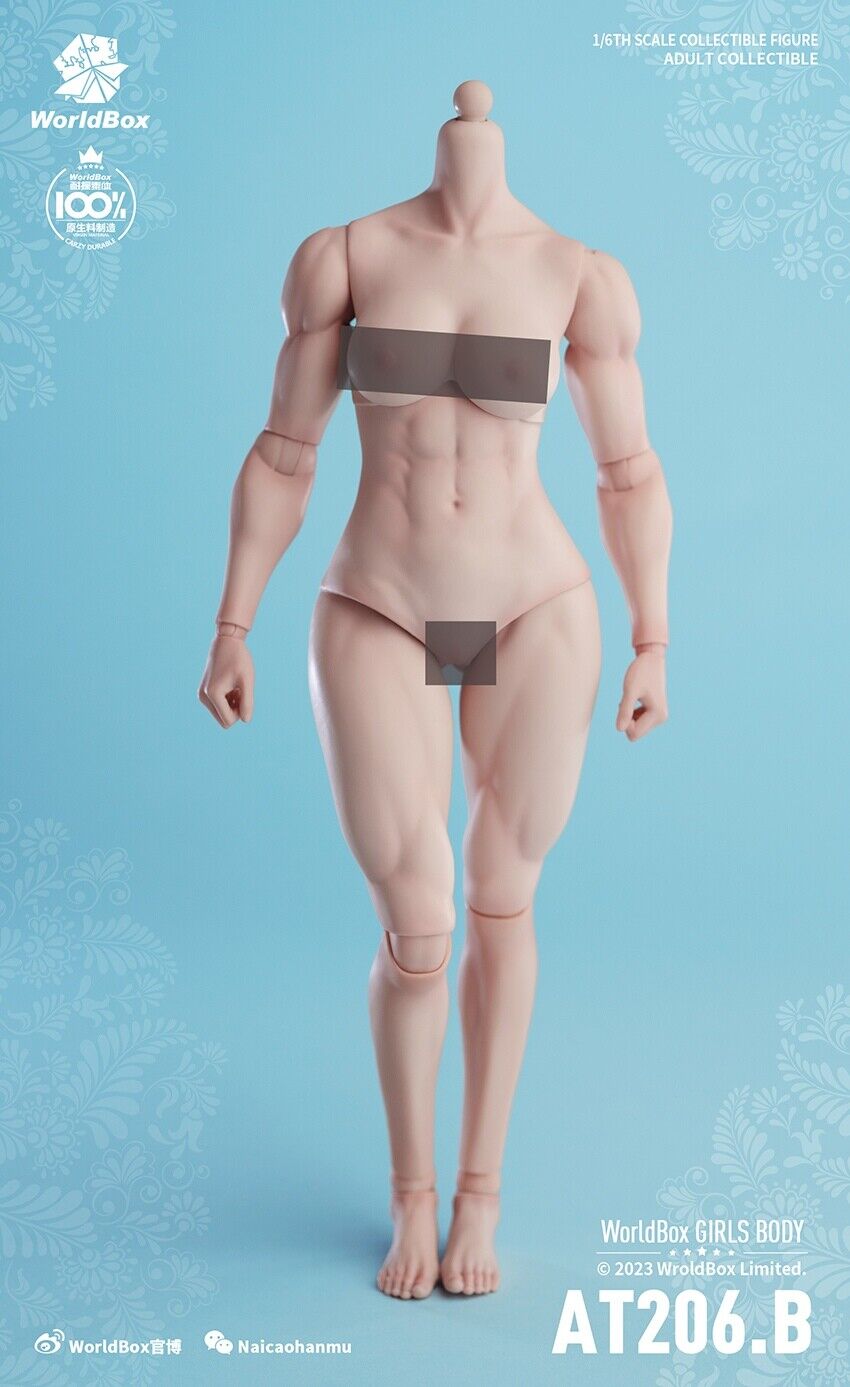 Figura Modelo 1/6 Worldbox AT206 Mujer Flexible Muscular Articulación Cuerpo Soldado 12"" - Imagen 36 de 44