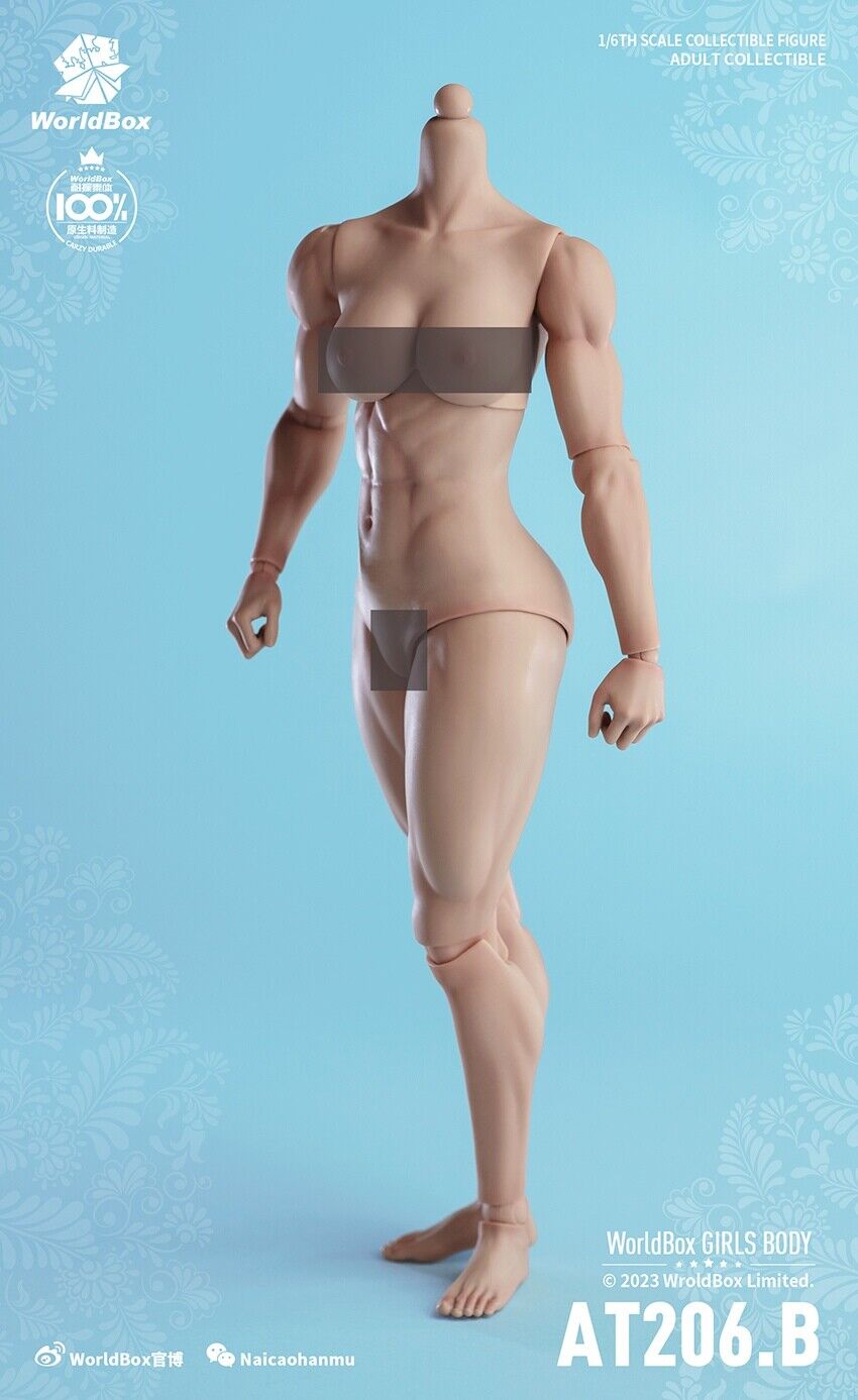 Figura Modelo 1/6 Worldbox AT206 Mujer Flexible Muscular Articulación Cuerpo Soldado 12"" - Imagen 44 de 44