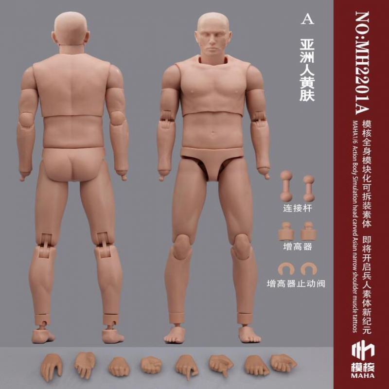 Muñeca soldado masculina 1/6 MAHA Studio cuerpo articular MAHA estudio MH2201 - Imagen 22 de 24