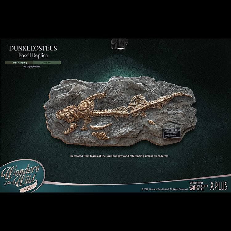 Star Ace 42cm Dunkleosteus Fish Fossil SA5008 Deluxe Statue In Stock - Picture 22 of 22