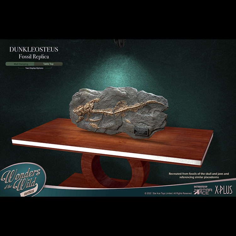 Star Ace 42cm Dunkleosteus Fish Fossil SA5008 Deluxe Statue In Stock - Picture 21 of 22