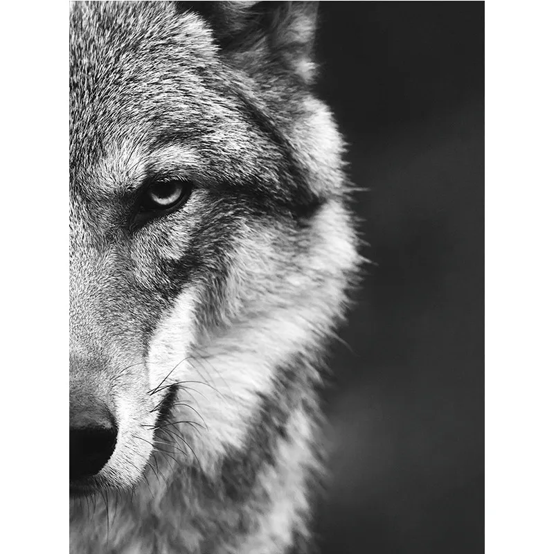 Wolf Head Wild Animal Poster Prints Canvas Paintings Wall Art - Imagen 6 de 7