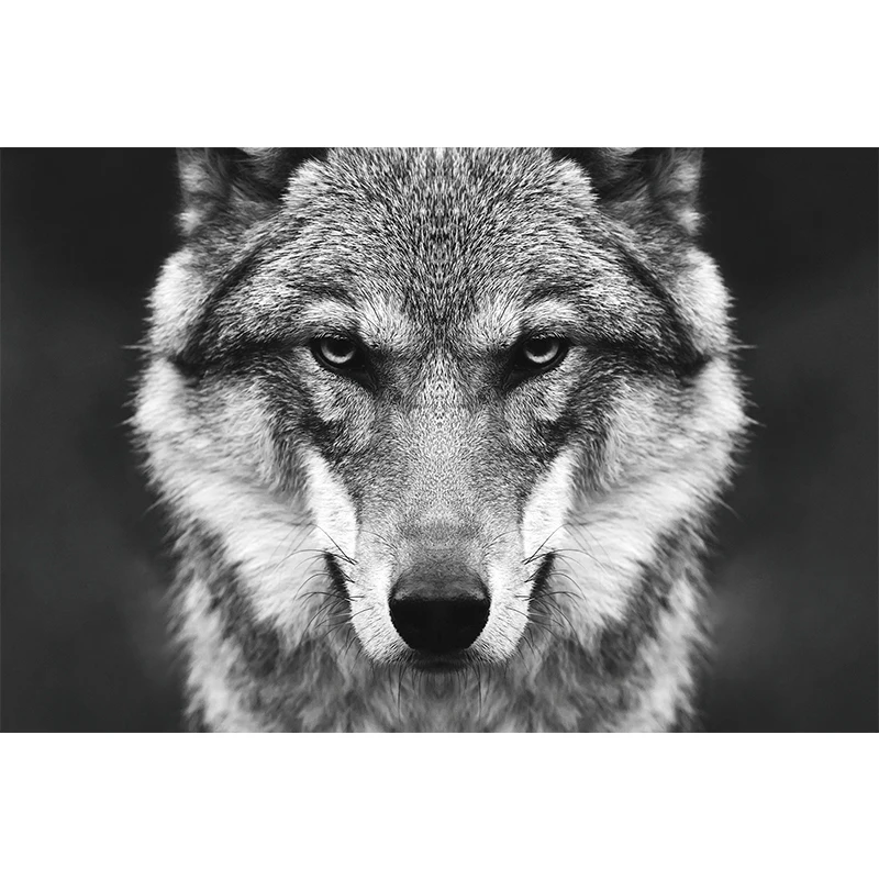 Wolf Head Wild Animal Poster Prints Canvas Paintings Wall Art - Imagen 7 de 7