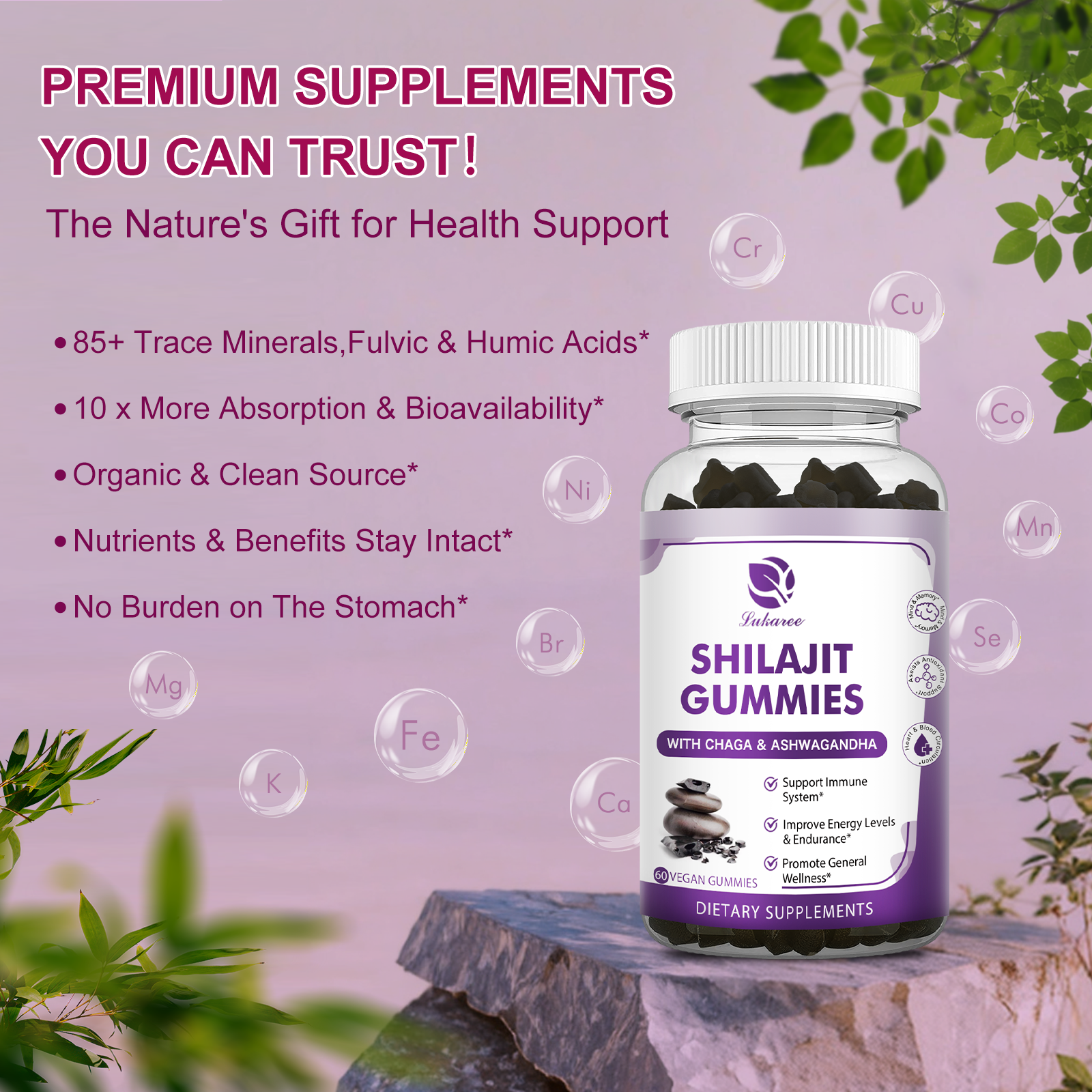 Pure Himalayan Shilajit Gummies with-Ashwagandha,Chaga Mushroom Immune Support - Bild 8 von 16