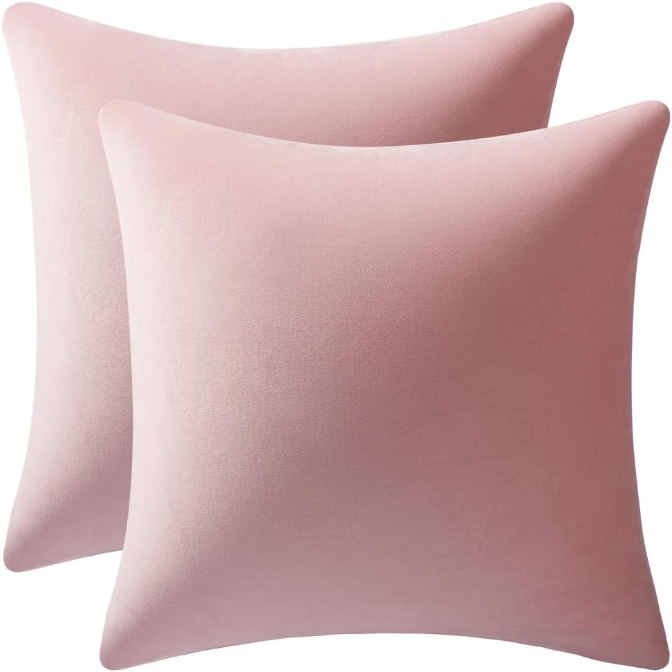 Fundas de almohada 2 piezas acogedoras fundas de almohada decorativas de terciopelo suave para decoración del hogar - Imagen 47 de 271