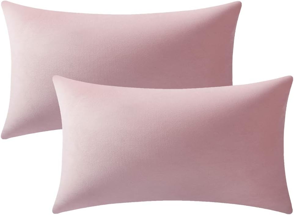 Fundas de almohada 2 piezas acogedoras fundas de almohada decorativas de terciopelo suave para decoración del hogar - Imagen 53 de 271
