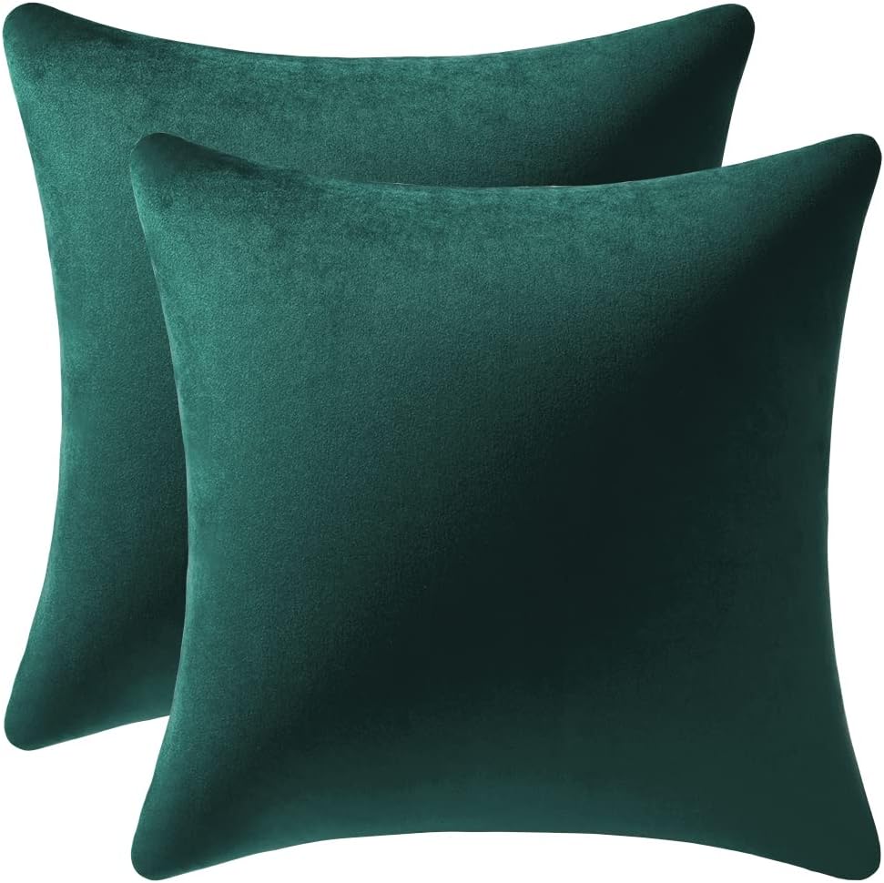 Fundas de almohada 2 piezas acogedoras fundas de almohada decorativas de terciopelo suave para decoración del hogar - Imagen 58 de 271