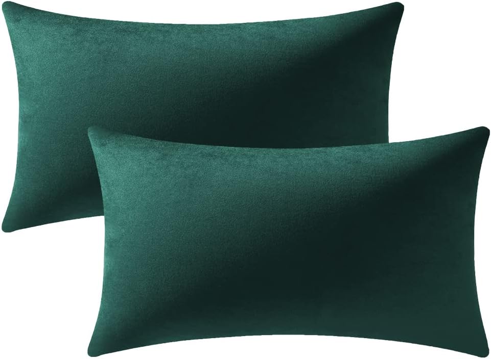 Fundas de almohada 2 piezas acogedoras fundas de almohada decorativas de terciopelo suave para decoración del hogar - Imagen 64 de 271