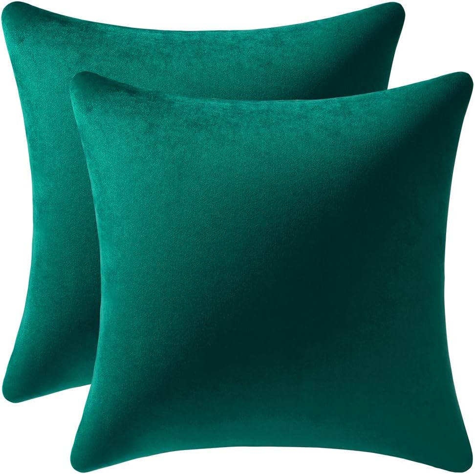 Fundas de almohada 2 piezas acogedoras fundas de almohada decorativas de terciopelo suave para decoración del hogar - Imagen 69 de 271