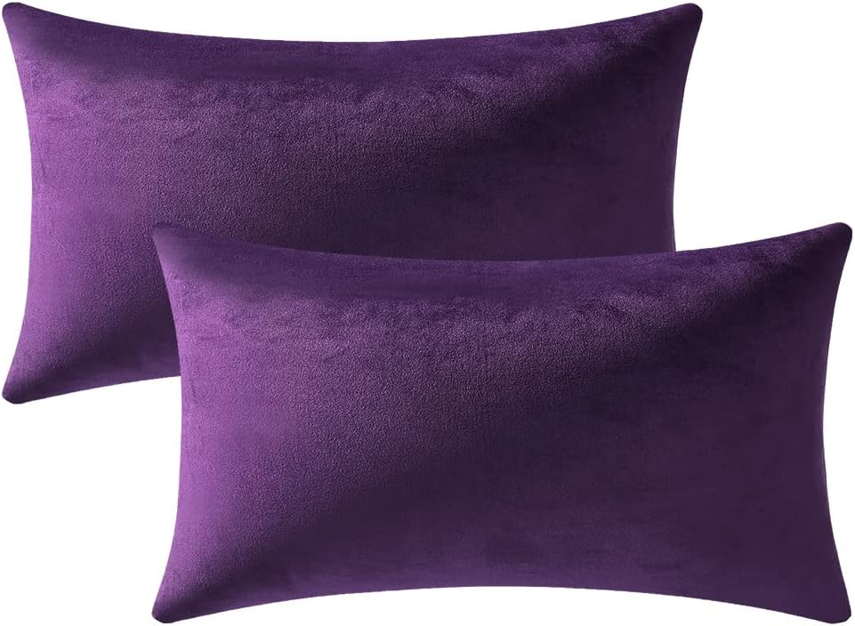 Fundas de almohada 2 piezas acogedoras fundas de almohada decorativas de terciopelo suave para decoración del hogar - Imagen 99 de 271