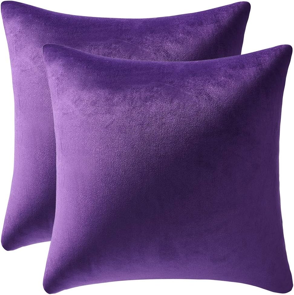 Fundas de almohada 2 piezas acogedoras fundas de almohada decorativas de terciopelo suave para decoración del hogar - Imagen 105 de 271