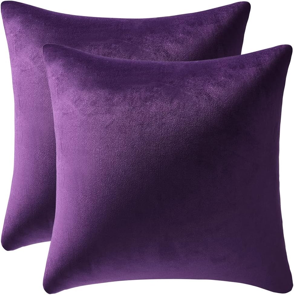 Fundas de almohada 2 piezas acogedoras fundas de almohada decorativas de terciopelo suave para decoración del hogar - Imagen 110 de 271