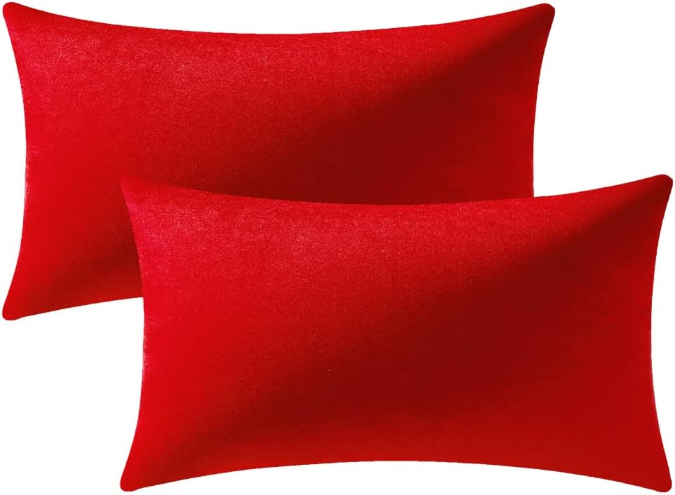 Fundas de almohada 2 piezas acogedoras fundas de almohada decorativas de terciopelo suave para decoración del hogar - Imagen 111 de 271