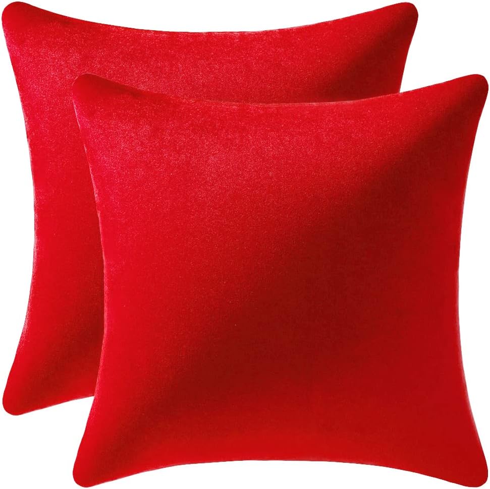 Fundas de almohada 2 piezas acogedoras fundas de almohada decorativas de terciopelo suave para decoración del hogar - Imagen 117 de 271