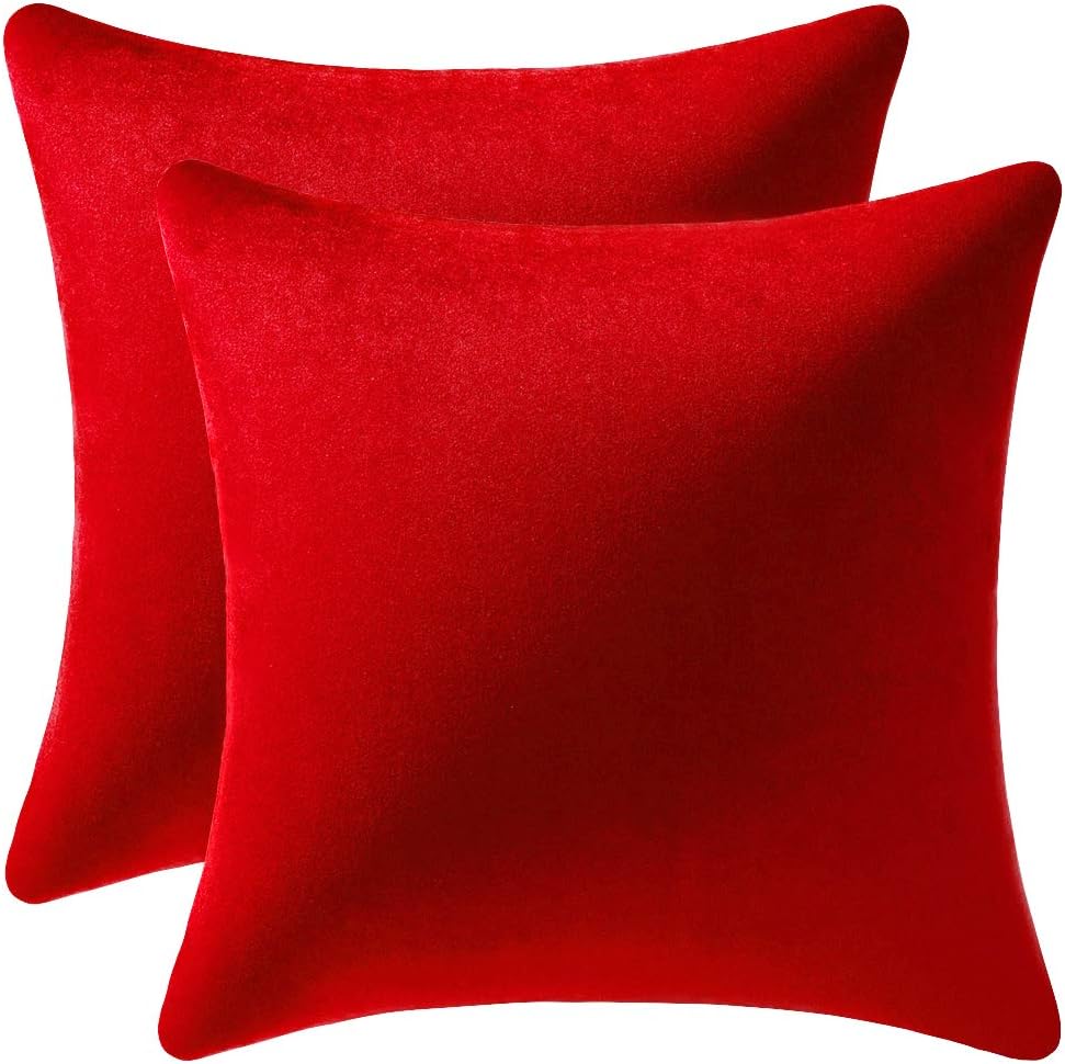 Fundas de almohada 2 piezas acogedoras fundas de almohada decorativas de terciopelo suave para decoración del hogar - Imagen 122 de 271