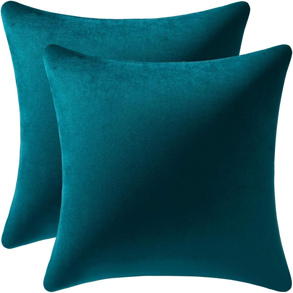 Fundas de almohada 2 piezas acogedoras fundas de almohada decorativas de terciopelo suave para decoración del hogar - Imagen 134 de 271