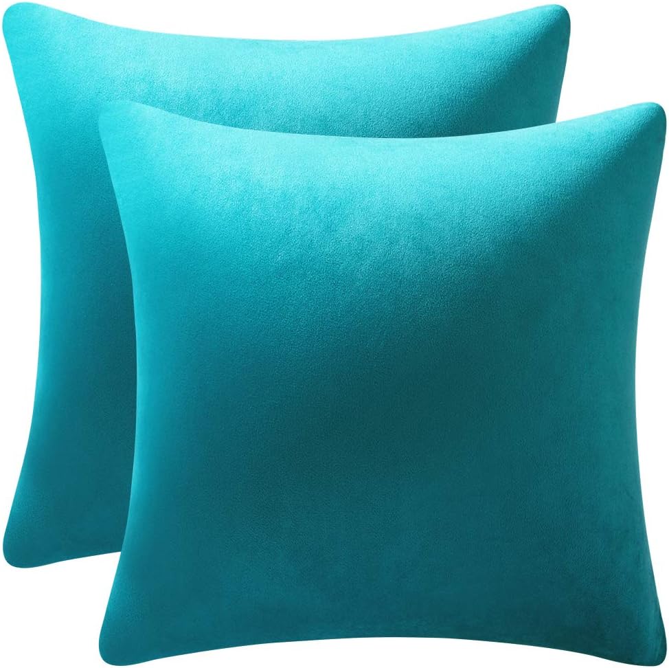 Fundas de almohada 2 piezas acogedoras fundas de almohada decorativas de terciopelo suave para decoración del hogar - Imagen 144 de 271