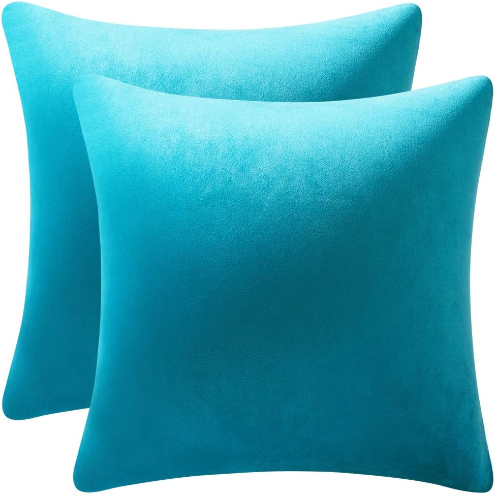 Fundas de almohada 2 piezas acogedoras fundas de almohada decorativas de terciopelo suave para decoración del hogar - Imagen 151 de 271