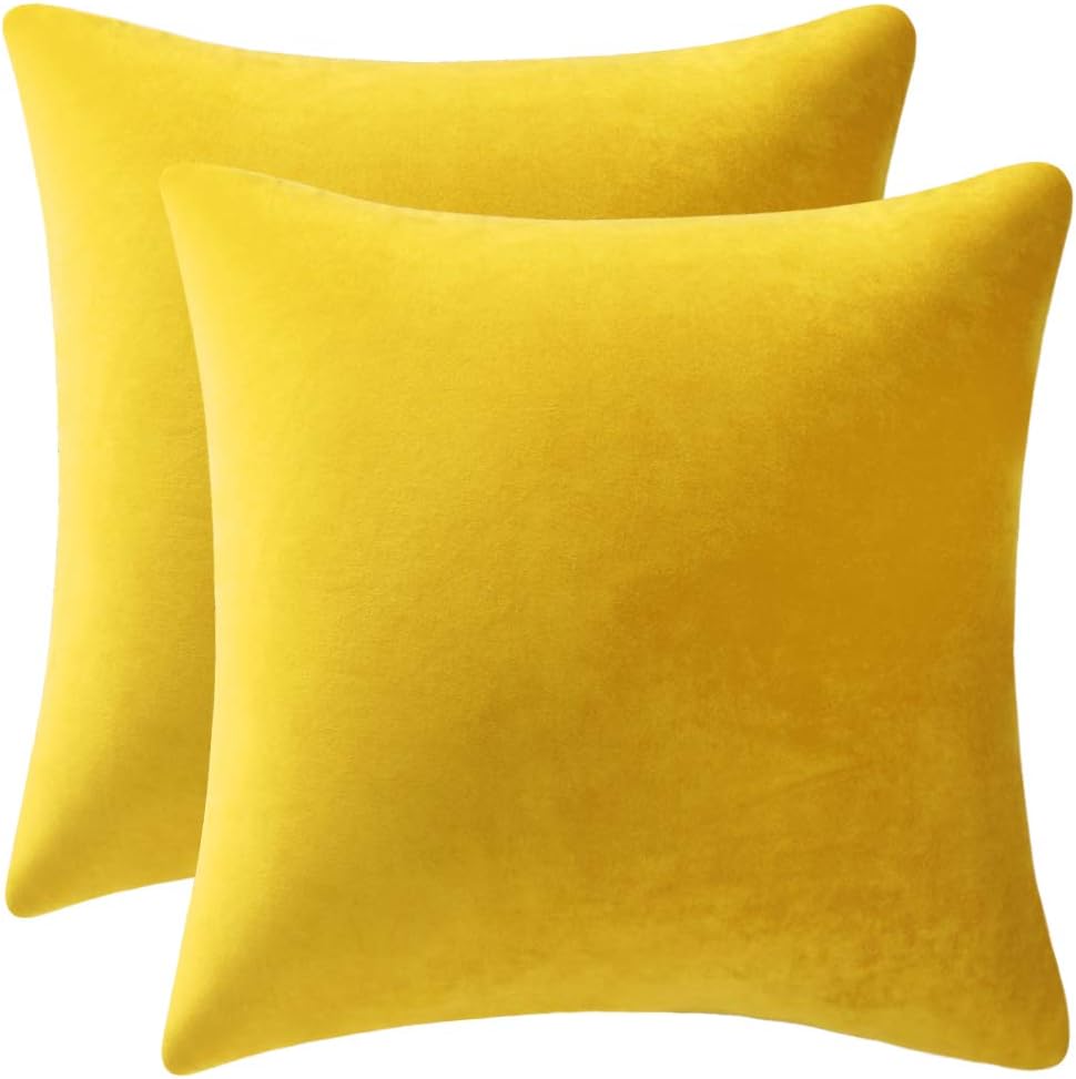 Fundas de almohada 2 piezas acogedoras fundas de almohada decorativas de terciopelo suave para decoración del hogar - Imagen 180 de 271