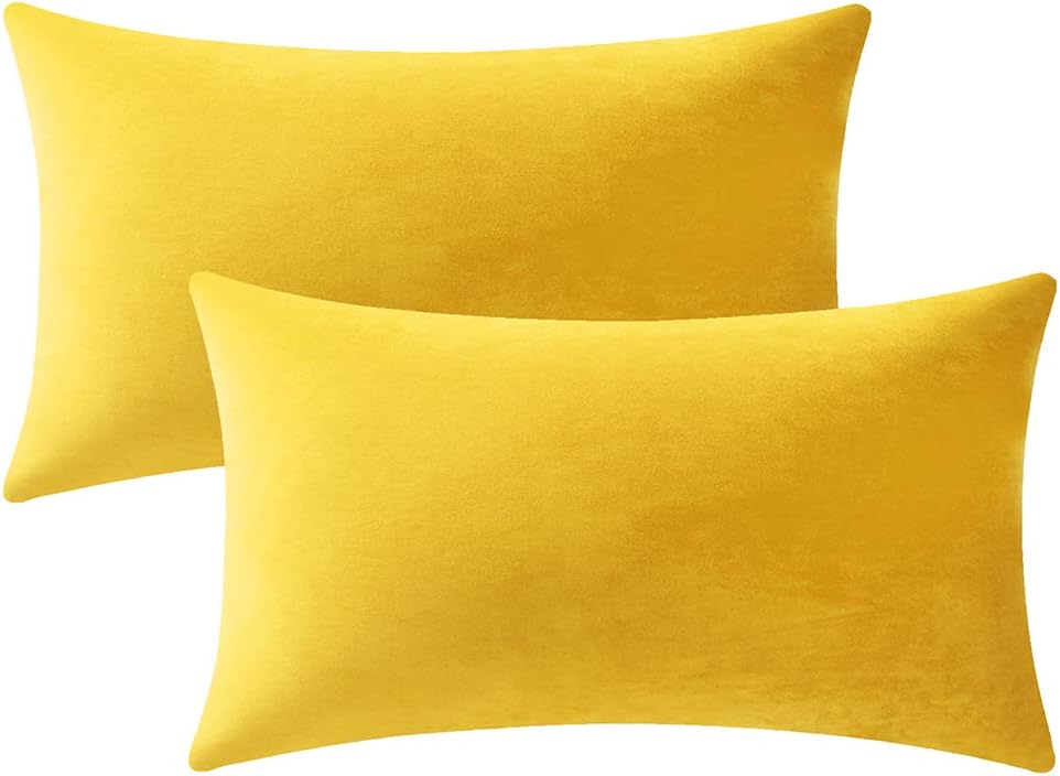 Fundas de almohada 2 piezas acogedoras fundas de almohada decorativas de terciopelo suave para decoración del hogar - Imagen 186 de 271