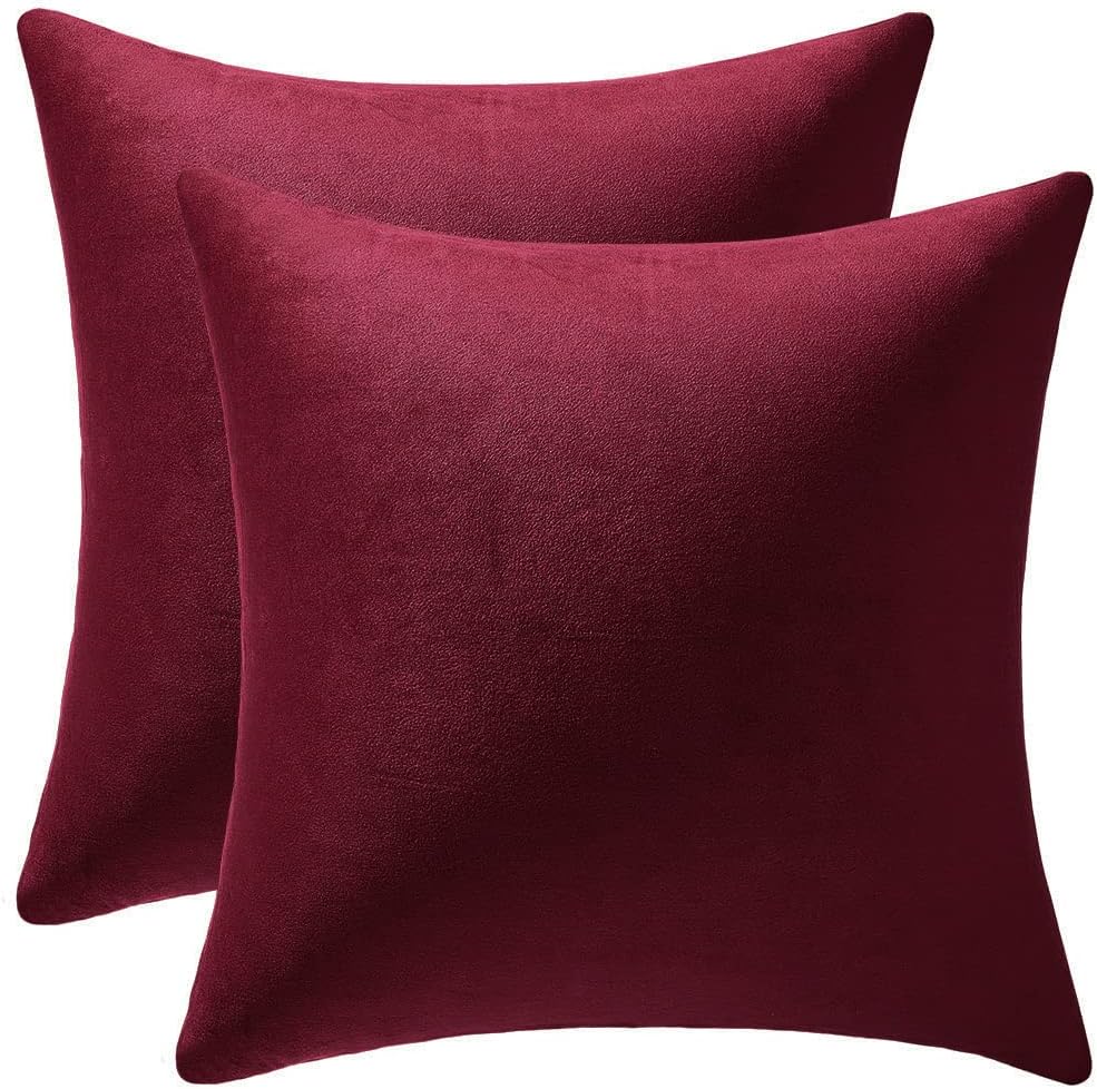 Fundas de almohada 2 piezas acogedoras fundas de almohada decorativas de terciopelo suave para decoración del hogar - Imagen 191 de 271