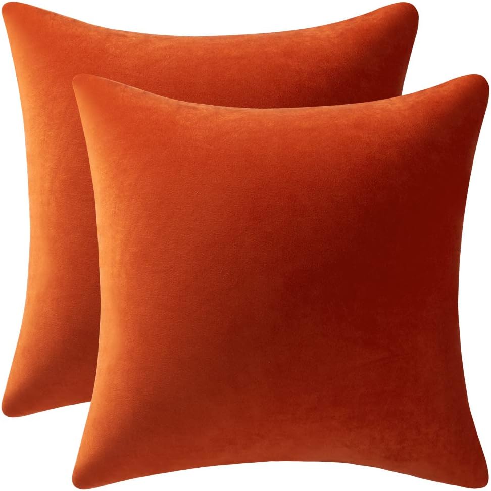 Fundas de almohada 2 piezas acogedoras fundas de almohada decorativas de terciopelo suave para decoración del hogar - Imagen 202 de 271
