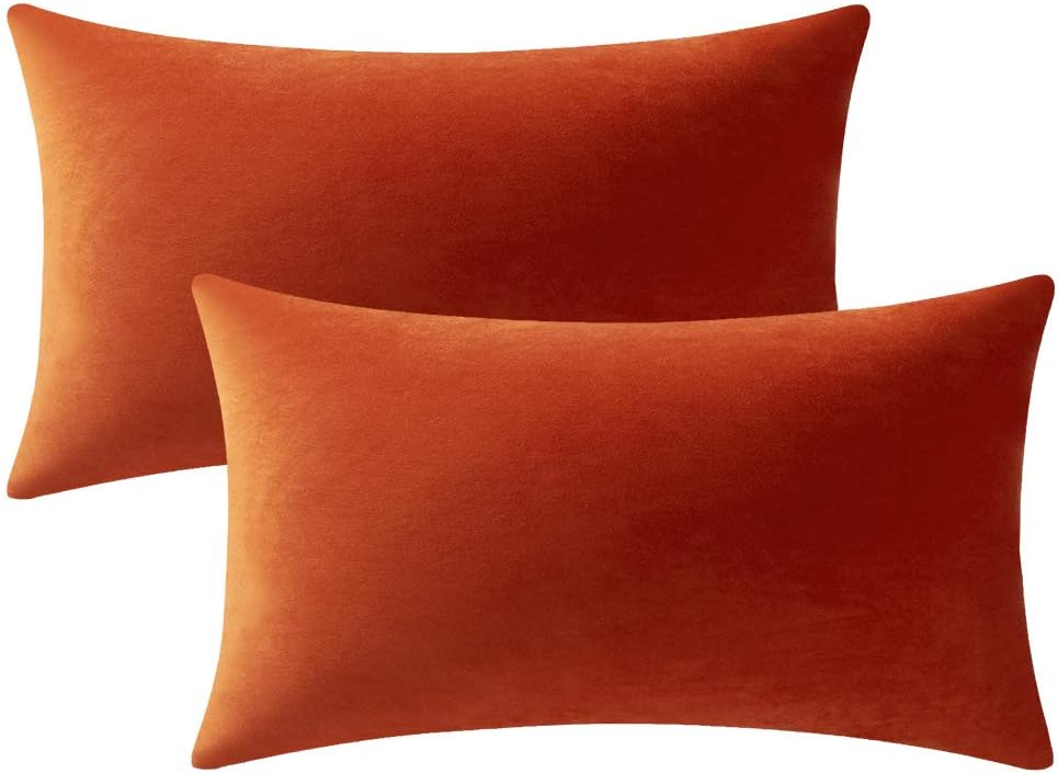 Fundas de almohada 2 piezas acogedoras fundas de almohada decorativas de terciopelo suave para decoración del hogar - Imagen 208 de 271