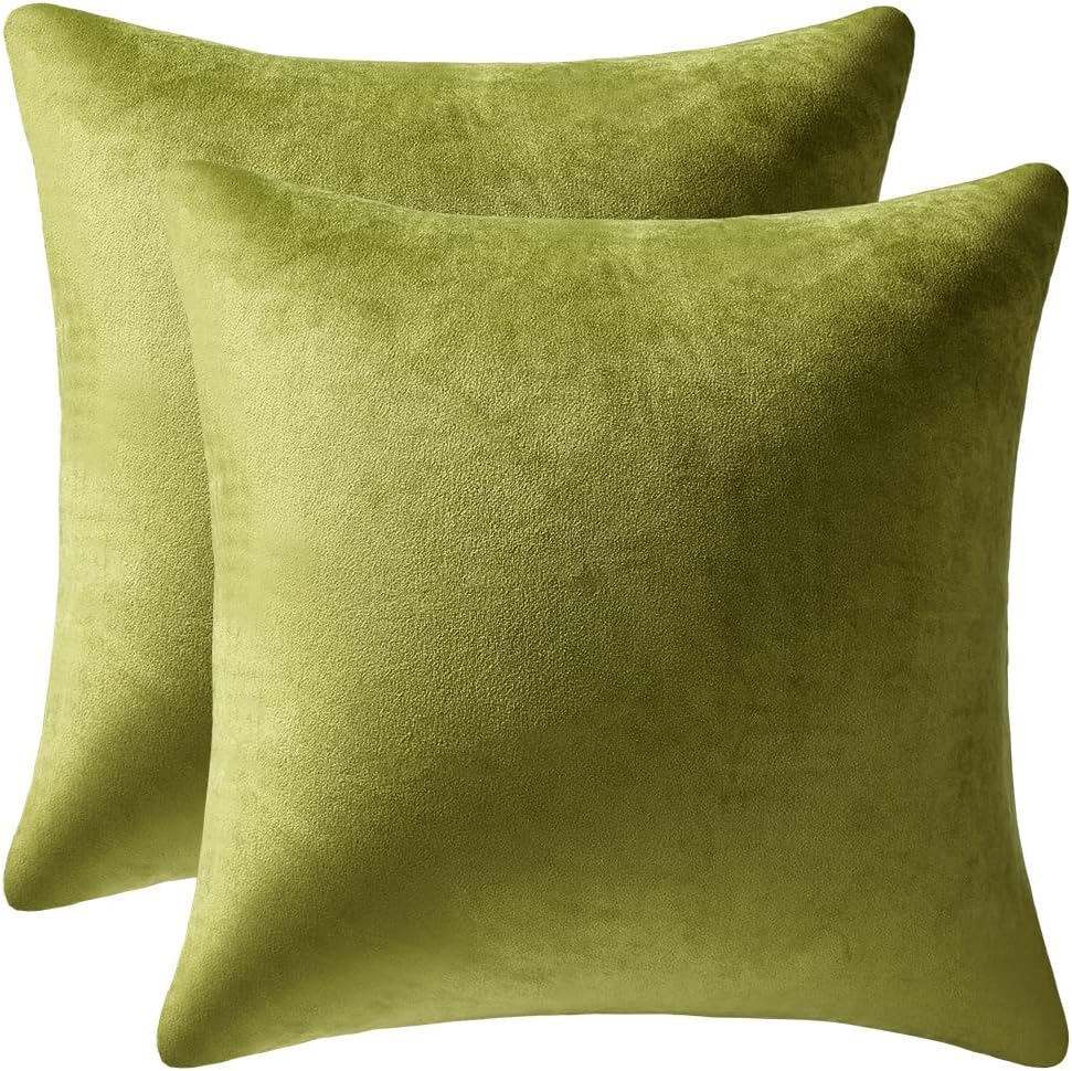 Fundas de almohada 2 piezas acogedoras fundas de almohada decorativas de terciopelo suave para decoración del hogar - Imagen 213 de 271