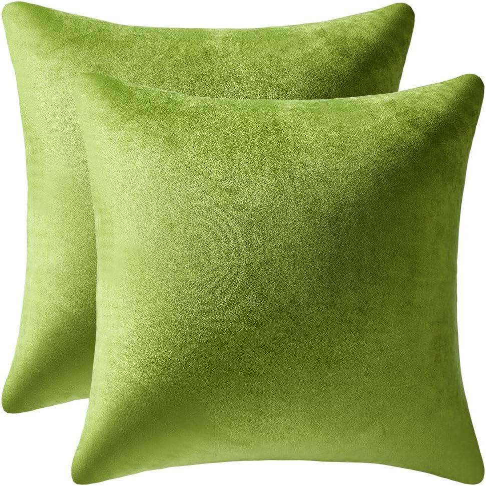 Fundas de almohada 2 piezas acogedoras fundas de almohada decorativas de terciopelo suave para decoración del hogar - Imagen 224 de 271
