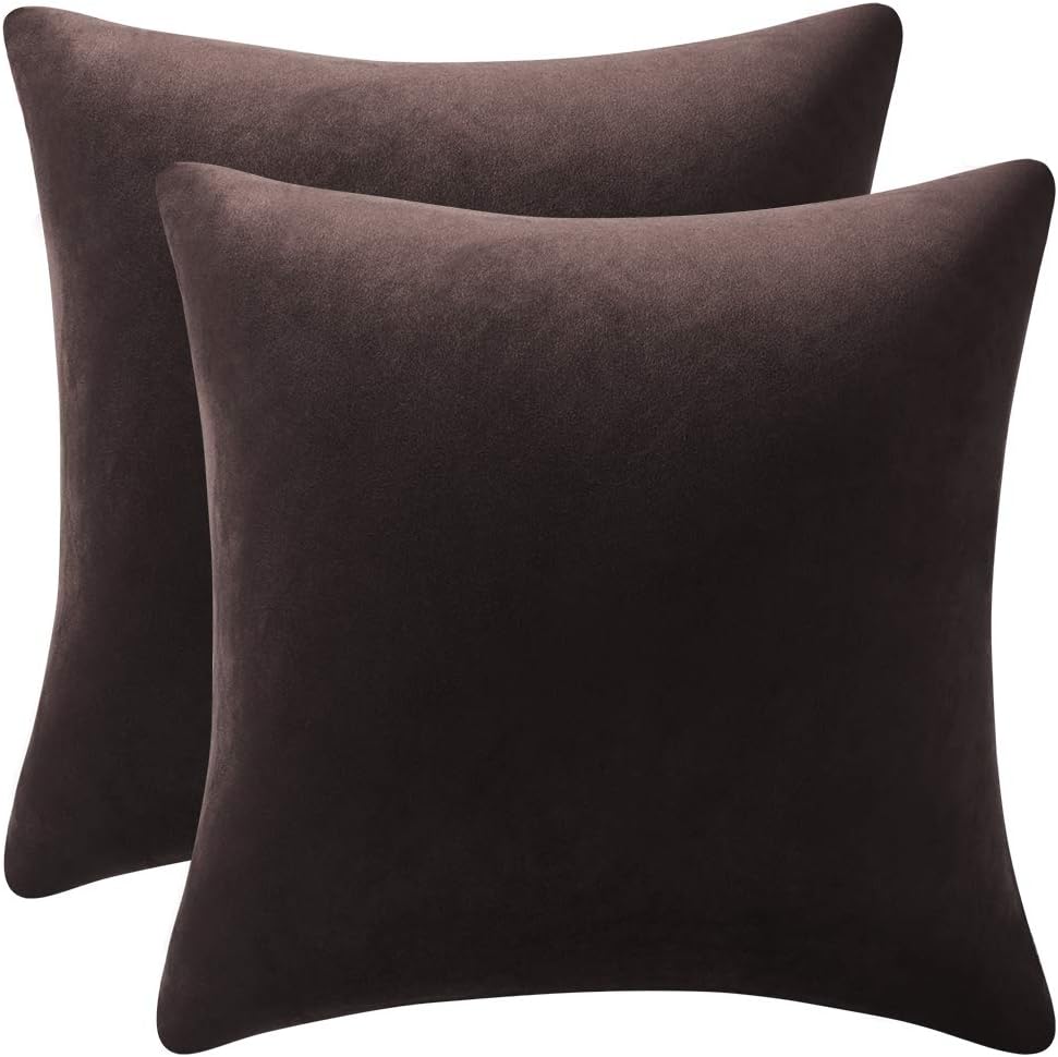 Fundas de almohada 2 piezas acogedoras fundas de almohada decorativas de terciopelo suave para decoración del hogar - Imagen 225 de 271