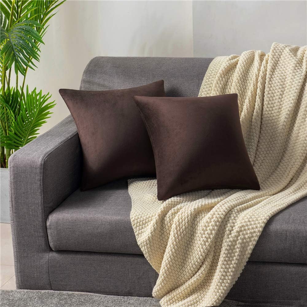 Fundas de almohada 2 piezas acogedoras fundas de almohada decorativas de terciopelo suave para decoración del hogar - Imagen 227 de 271