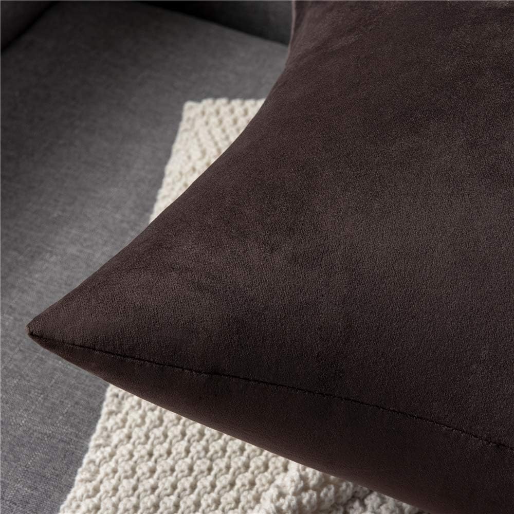 Fundas de almohada 2 piezas acogedoras fundas de almohada decorativas de terciopelo suave para decoración del hogar - Imagen 230 de 271