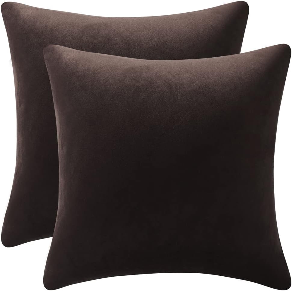 Fundas de almohada 2 piezas acogedoras fundas de almohada decorativas de terciopelo suave para decoración del hogar - Imagen 232 de 271